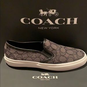 Coach Chrissy sneakers